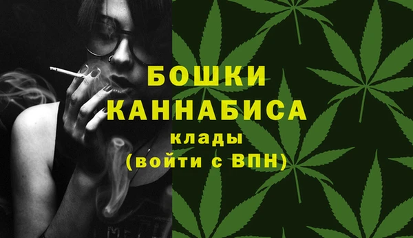 амф Касимов