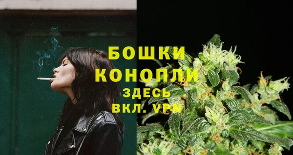 сатива Валдай