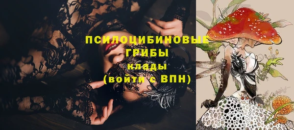 скорость Карталы