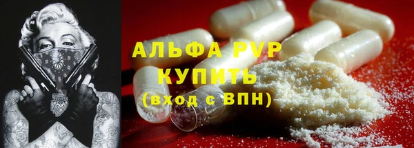 МДПВ Карпинск