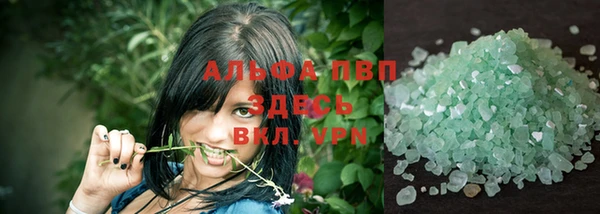 сатива Валдай